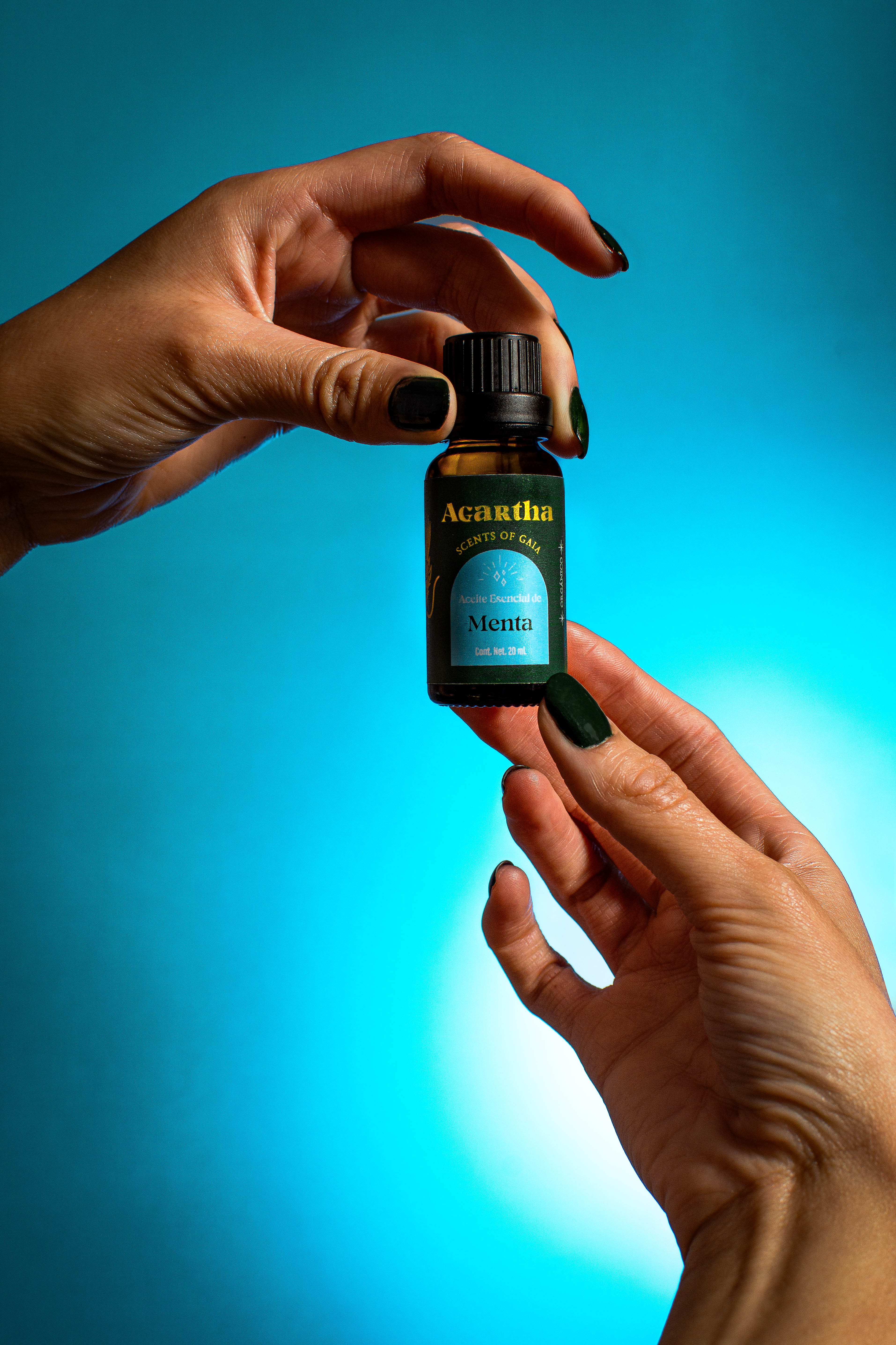 ACEITE ESENCIAL DE MENTA: TODO LO QUE DEBES SABER