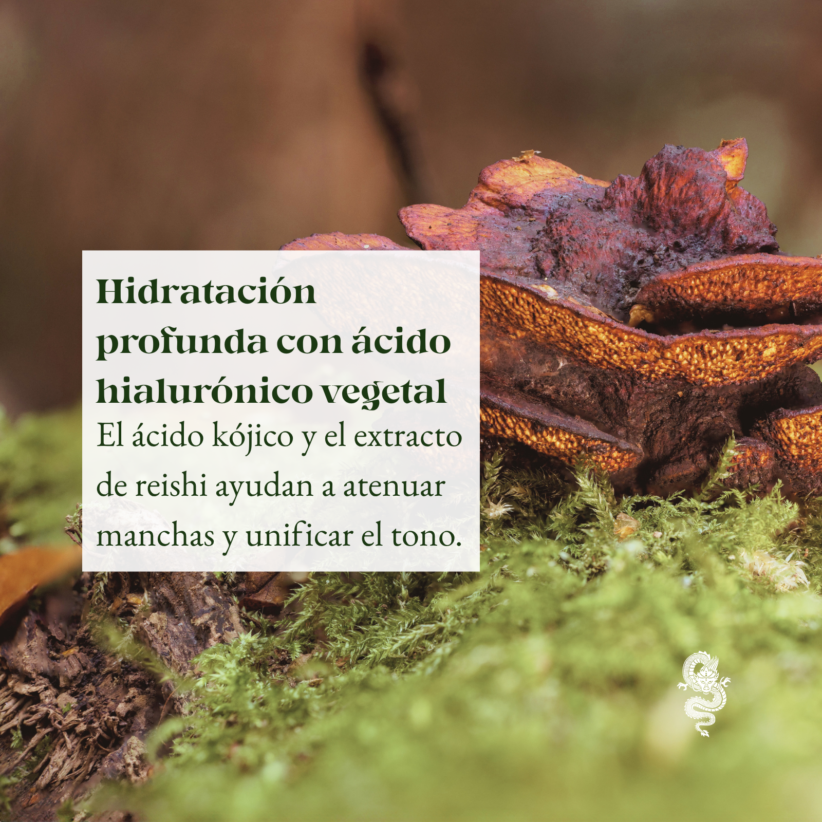 Suero Facial con Ácido Hialurónico