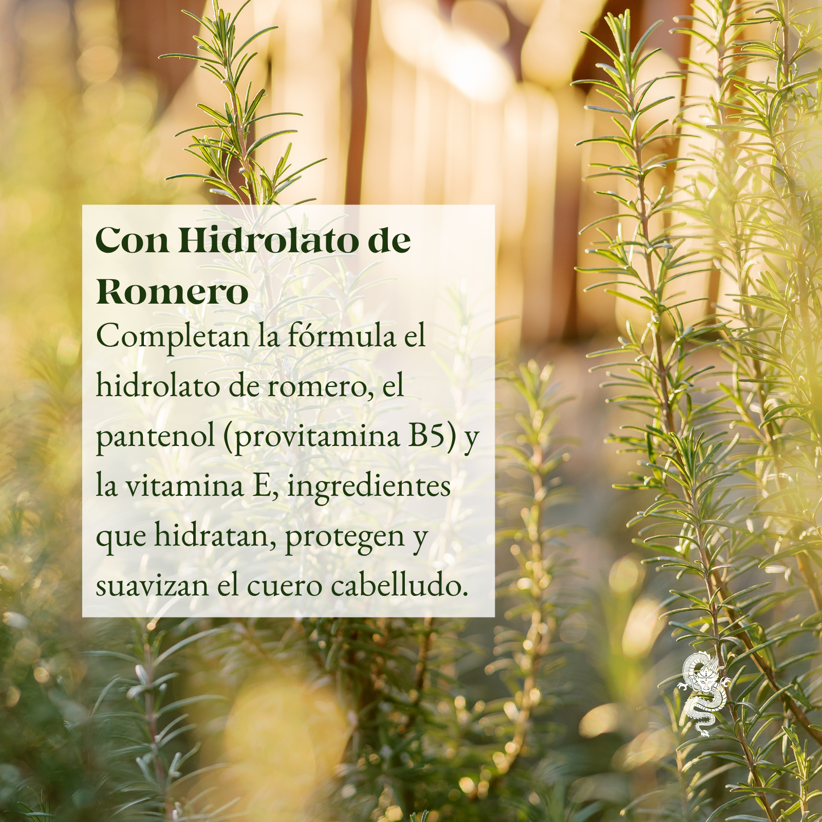 Locion Capilar con Minoxidil al 5%