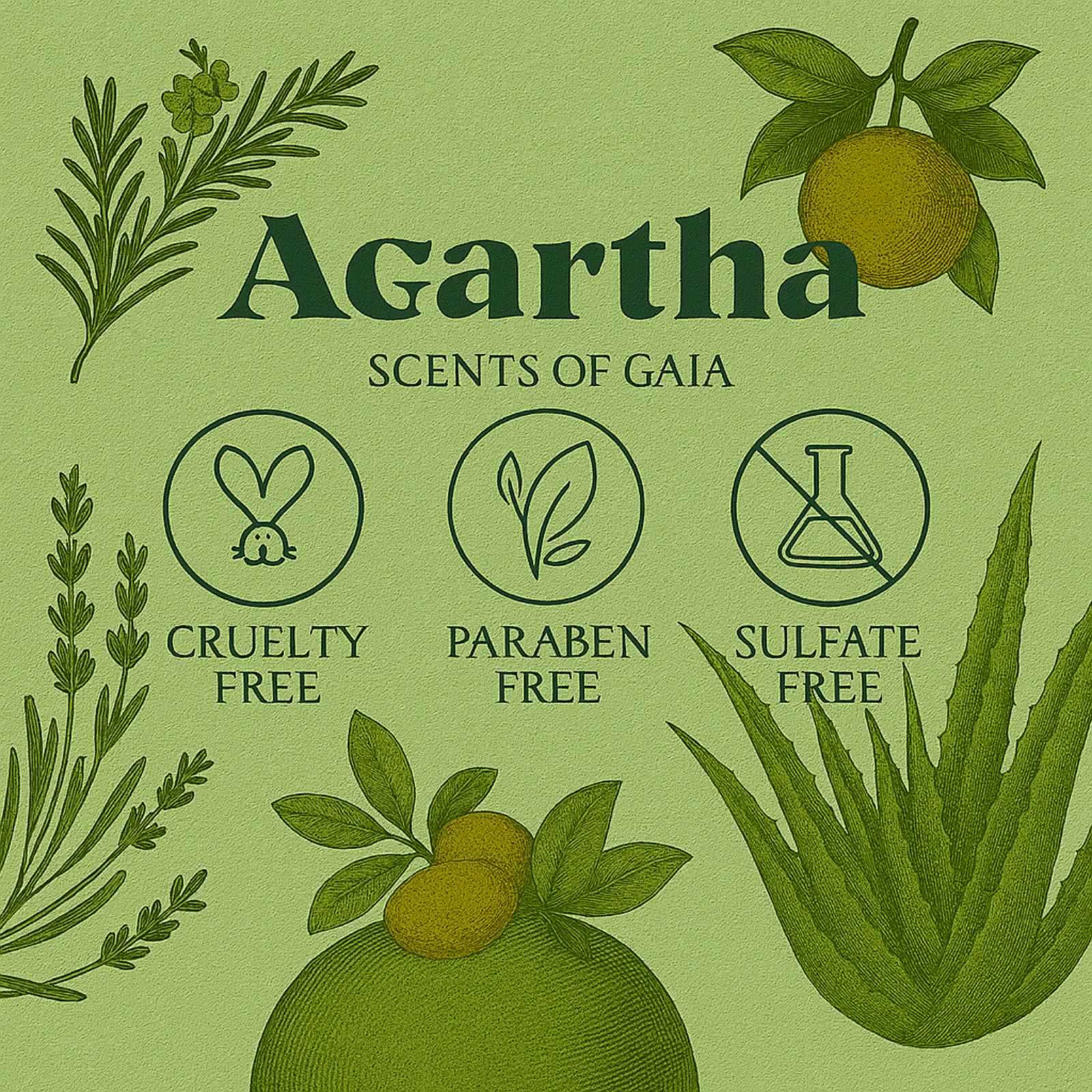 Suero Facial con Ácido Hialurónico