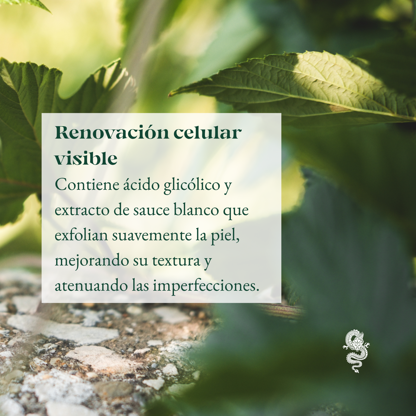 Suero Facial con Retinol, Colágeno & Ceramidas