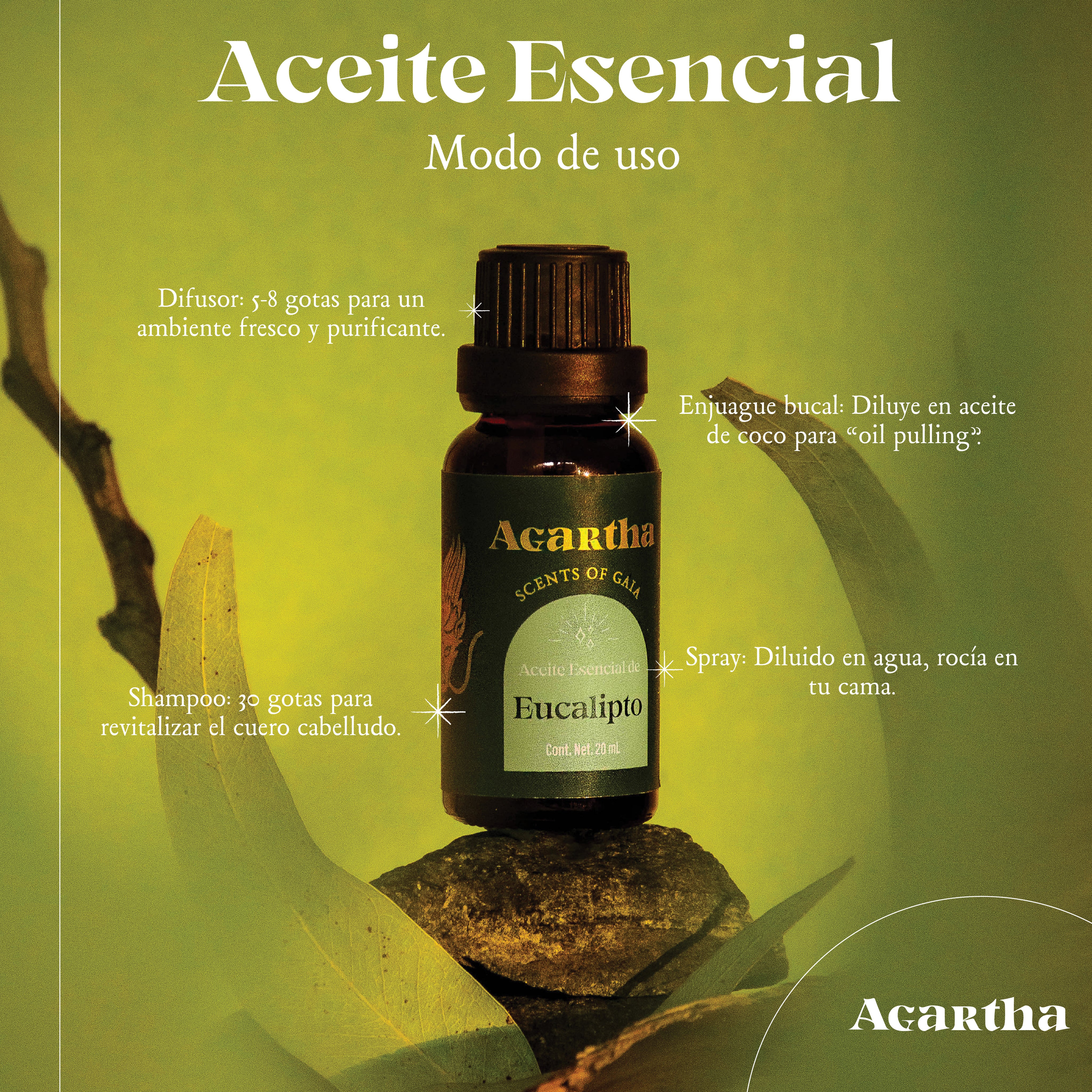 Aceite esencial de eucalipto siendo utilizado en un difusor para crear un ambiente fresco y revitalizante.