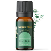 Aceite esencial de eucalipto, perfecto para despejar las vías respiratorias y revitalizar el ambiente.