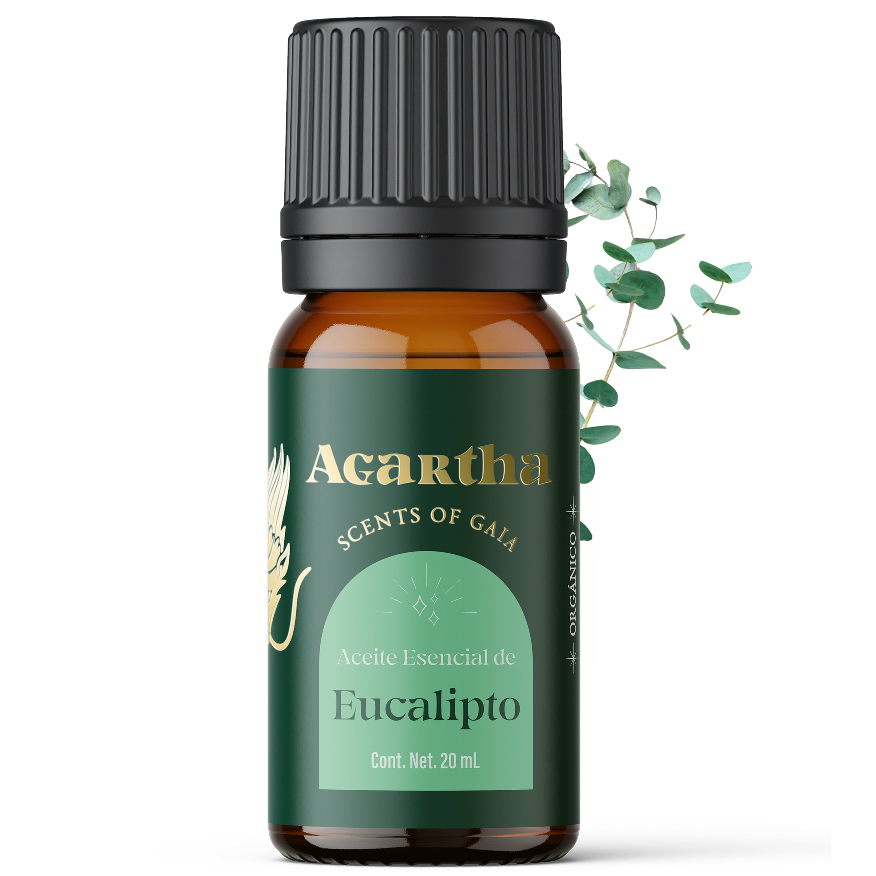 Aceite esencial de eucalipto, perfecto para despejar las vías respiratorias y revitalizar el ambiente.