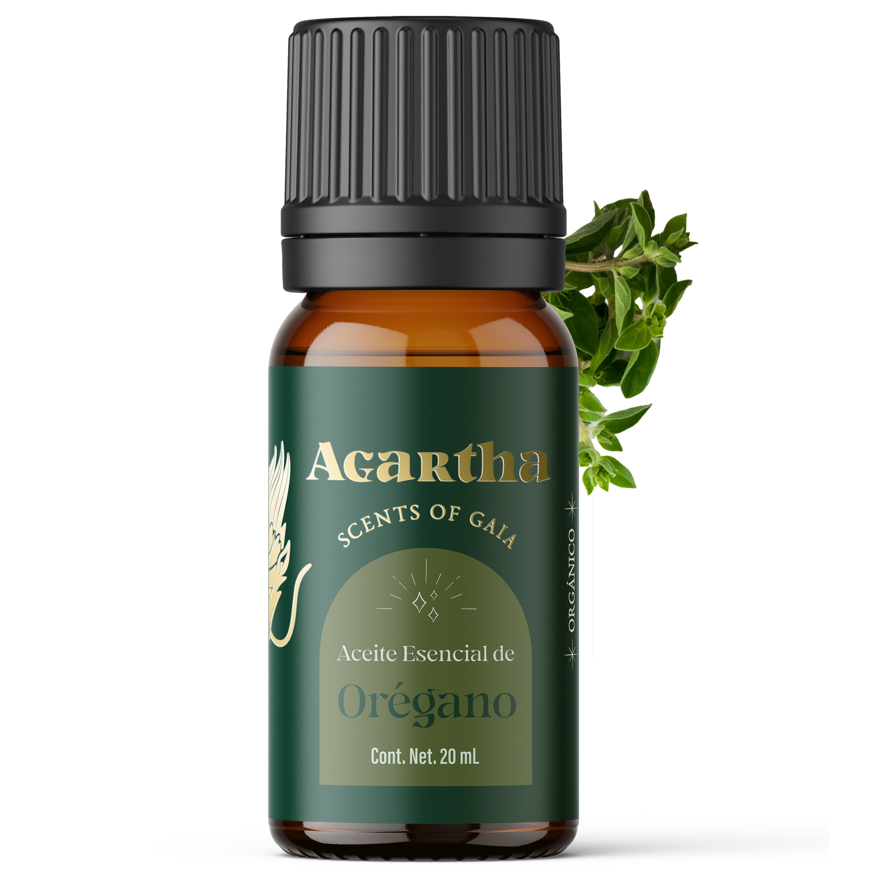 Aceite esencial de orégano, reconocido por sus propiedades antimicrobianas y beneficios para el sistema inmunológico.