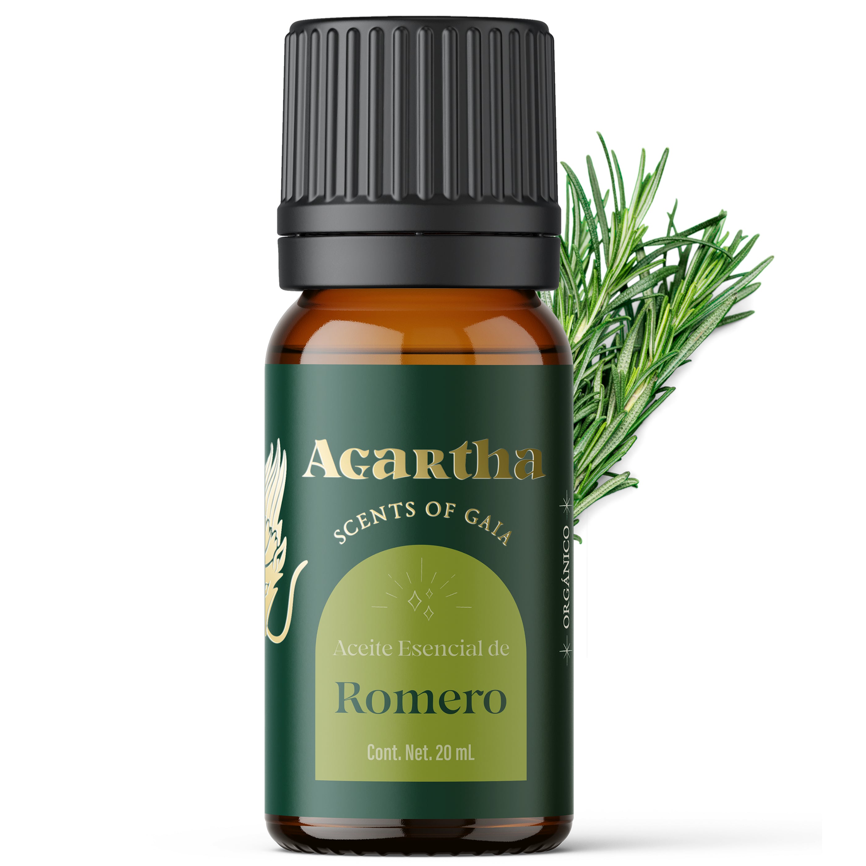 Aceite esencial de romero, ideal para estimular la concentración y revitalizar la mente.