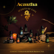 Poderosos ingredientes naturales, cuidadosamente cosechados, extraídos y destilados para relajar tu cuerpo, mente y espíritu.