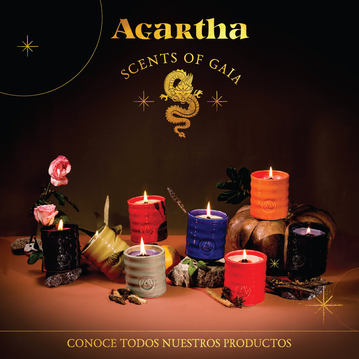 Vela Spices 520 - Pumpkin & Chai, una mezcla exquisita de fragancias especiadas y reconfortantes para enriquecer tus momentos.
