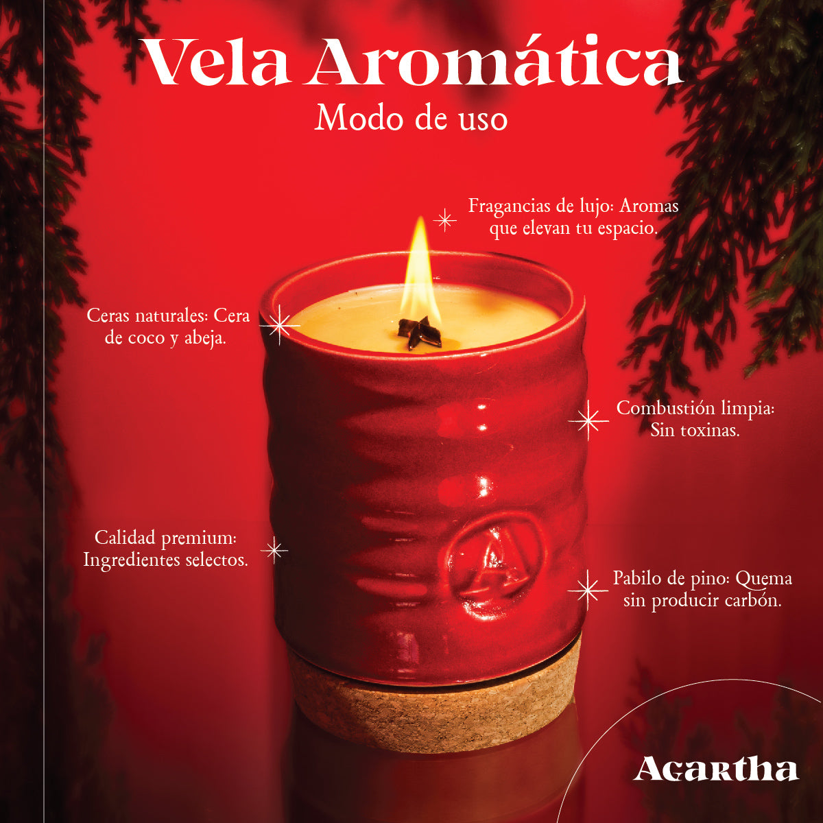 Vela Satsuma 691 con fragancia refrescante y revitalizante de frutas cítricas, perfecta para transformar tus espacios en un oasis de serenidad.