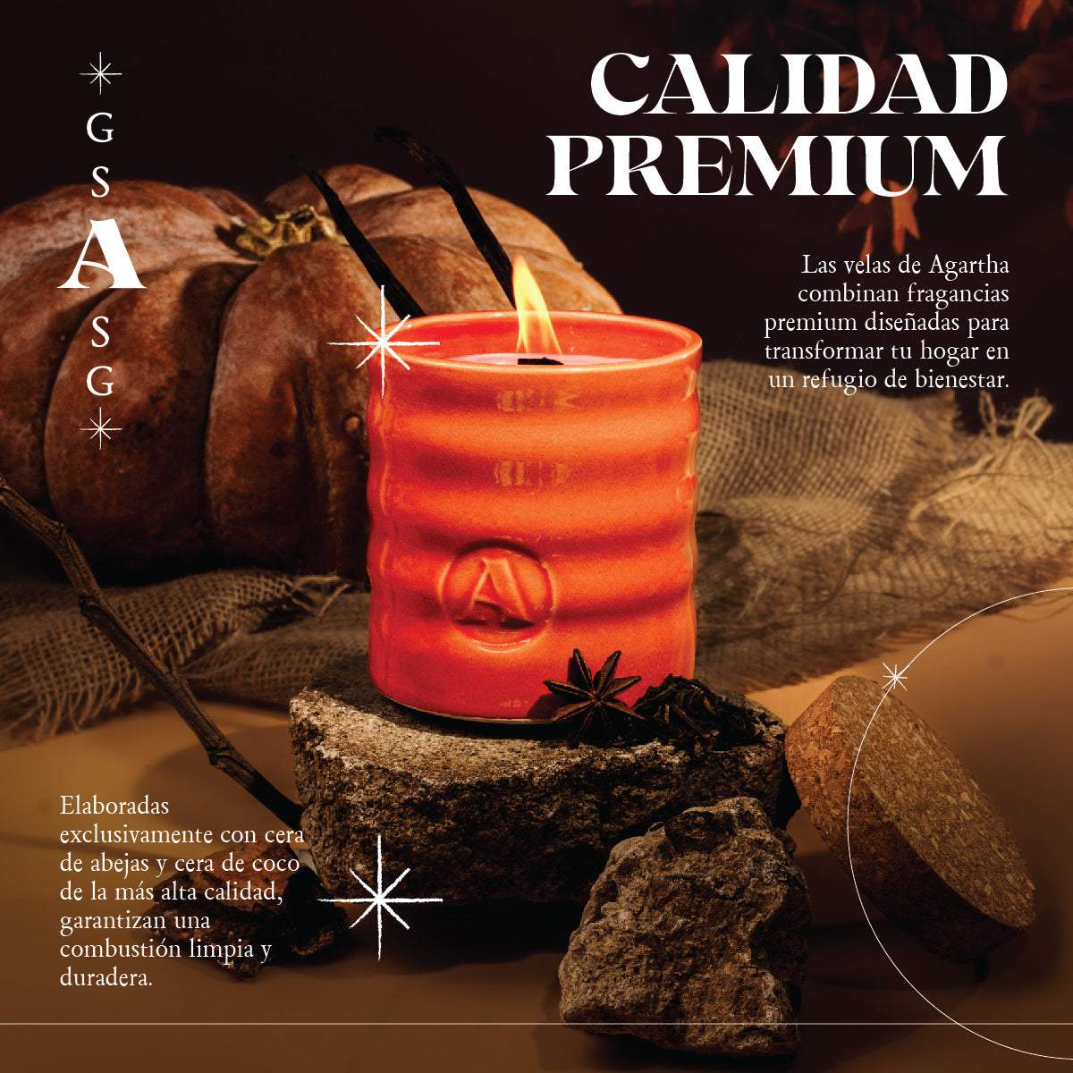 Detalle del diseño de la vela Spices 520, con una mezcla cálida y reconfortante de aromas especiados y presentación elegante.